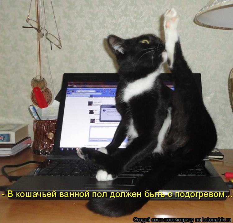 - В кошачьей ванной пол должен быть с подогревом...... Котоматрица: - В кошачьей ванной пол должен быть с подогревом...