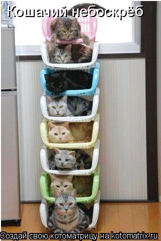 Котоматрица: Кошачий небоскрёб