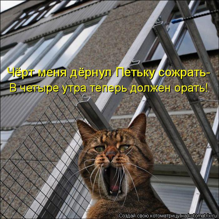 Чёрт меня дёрнул Петьку сожрать- В четыре утра теперь должен орать!... Котоматрица: Чёрт меня дёрнул Петьку сожрать- В четыре утра теперь должен орать!