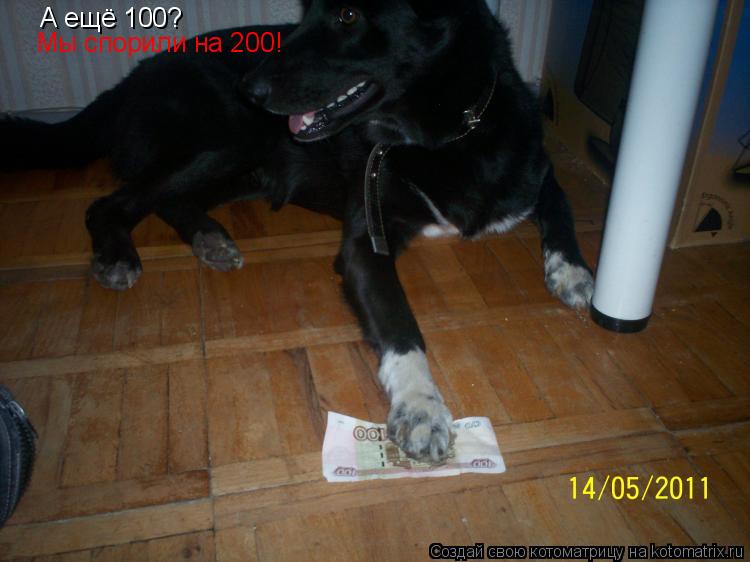 А ещё 100? Мы спорили на 200!... Котоматрица: А ещё 100? Мы спорили на 200!