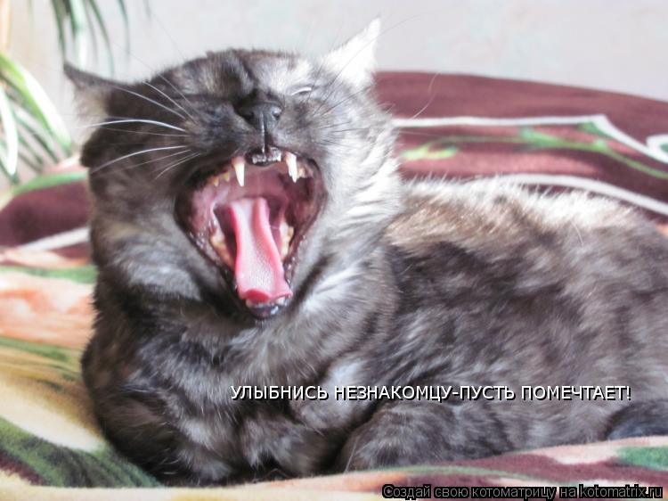 Котоматрица: УЛЫБНИСЬ НЕЗНАКОМЦУ-ПУСТЬ ПОМЕЧТАЕТ!