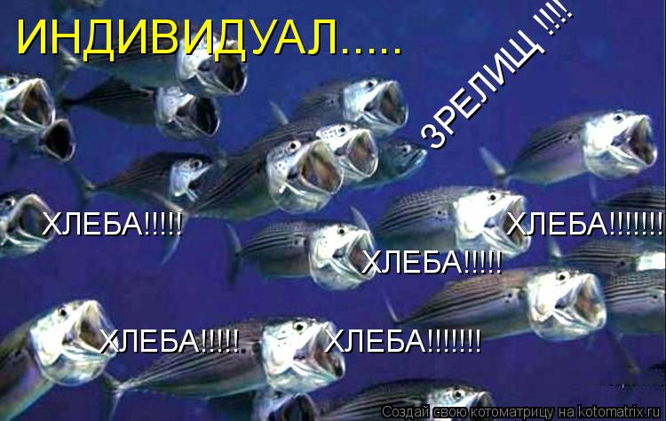 ХЛЕБА!!!!! ХЛЕБА!!!!!!! ХЛЕБА!!!!! ХЛЕБА!!!!!!! ХЛЕБА!!... Котоматрица: ХЛЕБА!!!!! ХЛЕБА!!!!!!! ХЛЕБА!!!!! ХЛЕБА!!!!!!! ХЛЕБА!!!!! ИНДИВИДУАЛ..... ЗРЕЛИЩ !!!