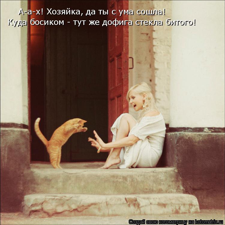 А-а-х! Хозяйка, да ты с ума сошла! Куда босиком - тут же дофига стекла битого!... Котоматрица: А-а-х! Хозяйка, да ты с ума сошла! Куда босиком - тут же дофига стекла битого!