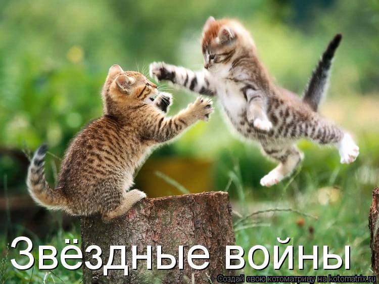 Звёздные войны... Котоматрица: Звёздные войны