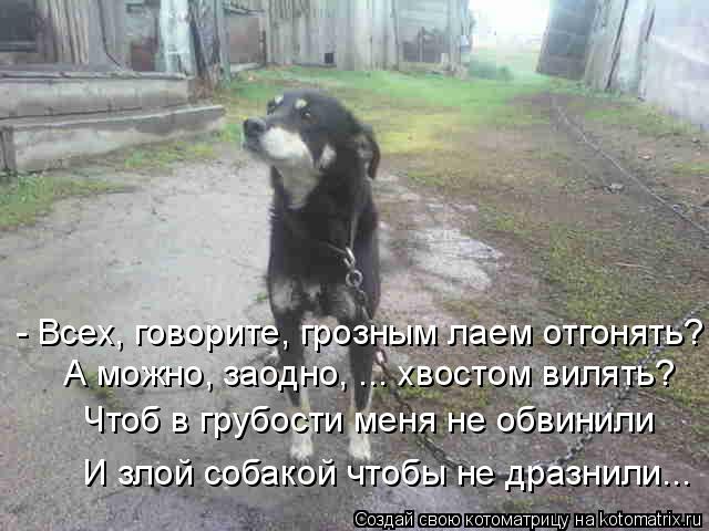- Всех, говорите, грозным лаем отгонять? А можно, заодно, ... хвостом вилять? Чтоб в грубости меня не... Котоматрица: - Всех, говорите, грозным лаем отгонять? А можно, заодно, ... хвостом вилять? Чтоб в грубости меня не обвинили И злой собакой чтобы не дразнили..