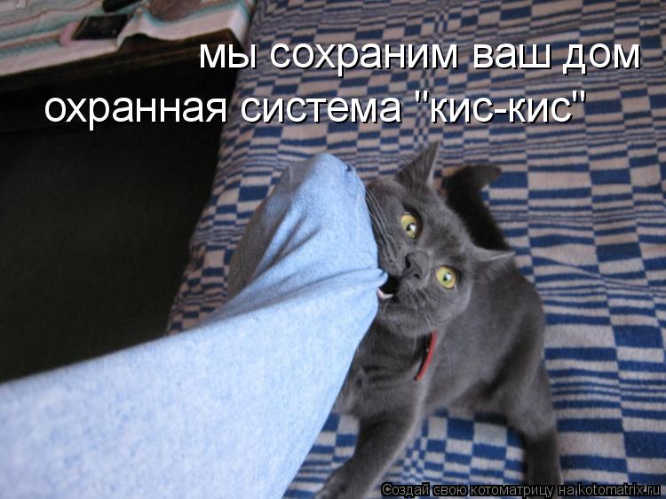 охранная система "кис-кис" мы сохраним ваш дом... Котоматрица: охранная система "кис-кис" мы сохраним ваш дом