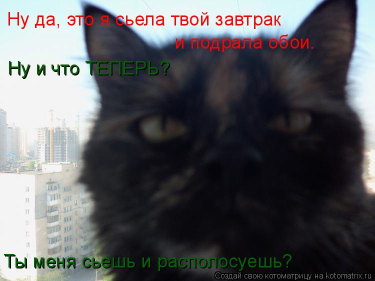 Котоматрица: Ну да, это я сьела твой завтрак и подрала обои. Ну и что ТЕПЕРЬ? Ты меня сьешь и располосуешь?