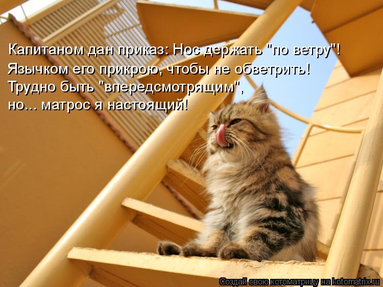 Капитаном дан приказ: Нос держать "по ветру"! Язычком его прикрою, чтобы не обветрить! Трудно быть "в... Котоматрица: Капитаном дан приказ: Нос держать "по ветру"! Язычком его прикрою, чтобы не обветрить! Трудно быть "впередсмотрящим", но... матрос я настоящий!