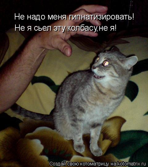 Не надо меня гипнатизировать! Не я сьел эту колбасу,не я!... Котоматрица: Не надо меня гипнатизировать! Не я сьел эту колбасу,не я!