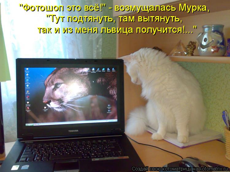 Котоматрица: "Фотошоп это всё!" - возмущалась Мурка, "Тут подтянуть, там вытянуть, так и из меня львица получится!..."