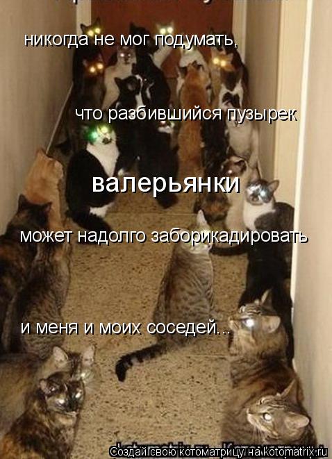 никогда не мог подумать, что разбившийся пузырек валерьянки может надолго заборикадировать и меня и ... Котоматрица: никогда не мог подумать, что разбившийся пузырек валерьянки может надолго заборикадировать и меня и моих соседей...