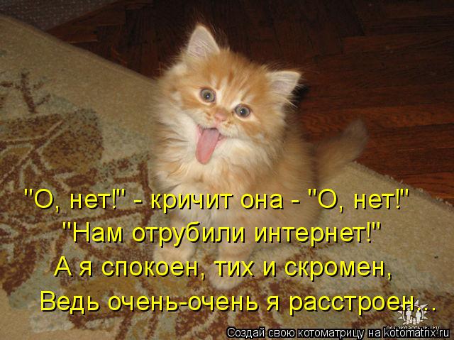 "О, нет!" - кричит она - "О, нет!" "Нам отрубили интернет!" А я спокоен, тих и скромен, Ведь очень-оч... Котоматрица: "О, нет!" - кричит она - "О, нет!" "Нам отрубили интернет!" А я спокоен, тих и скромен, Ведь очень-очень я расстроен...