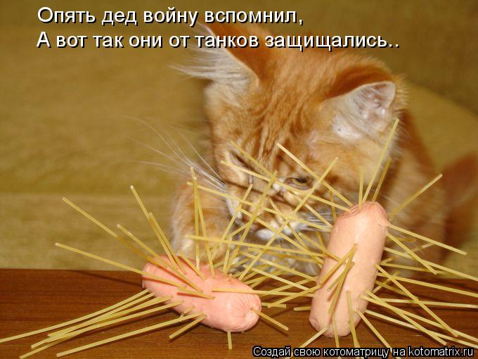 Котоматрица: Опять дед войну вспомнил, А вот так они от танков защищались..