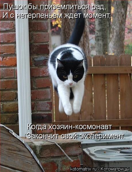 Пушок бы приземлиться рад, И с нетерпеньем ждет момент, Когда хозяин-космонавт Закончит свой эксперим... Котоматрица: Пушок бы приземлиться рад, И с нетерпеньем ждет момент, Когда хозяин-космонавт Закончит свой эксперимент.