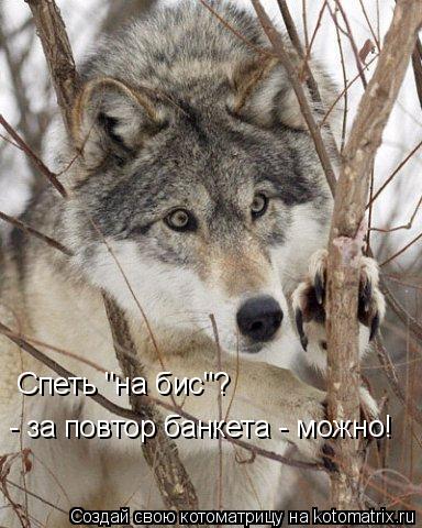 Котоматрица: Спеть "на бис"? - за повтор банкета - можно!