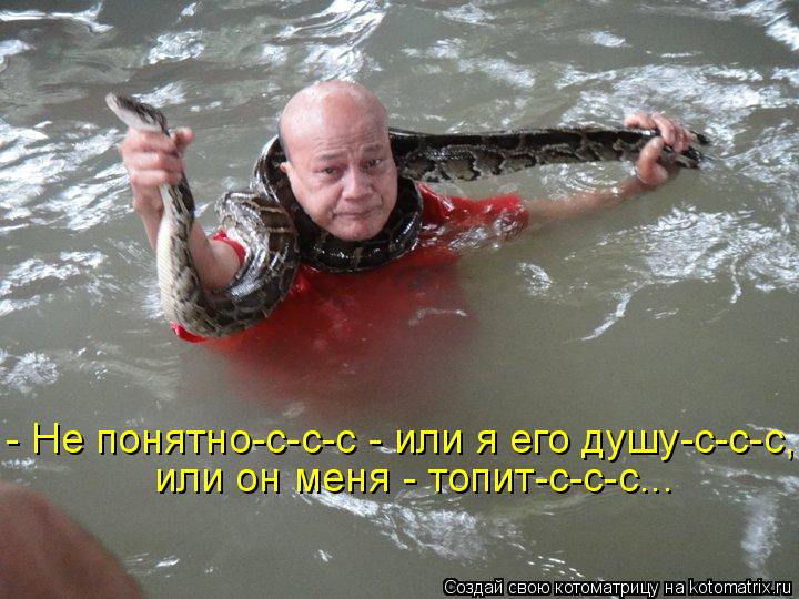 - Не понятно-с-с-с - или я его душу-с-с-с, или он меня - топит-с-с-с...... Котоматрица: - Не понятно-с-с-с - или я его душу-с-с-с, или он меня - топит-с-с-с...