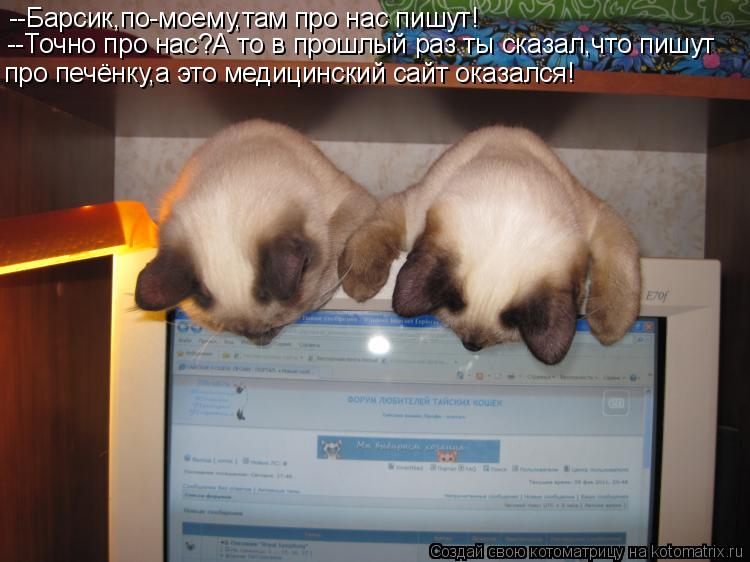 Котоматрица: --Барсик,по-моему,там про нас пишут! --Точно про нас?А то в прошлый раз ты сказал,что пишут про печёнку,а это медицинский сайт оказался!