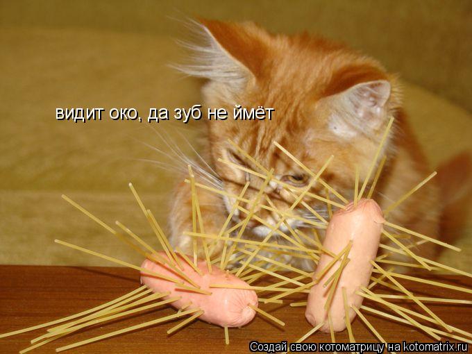 видит око, да зуб не ймёт... Котоматрица: видит око, да зуб не ймёт