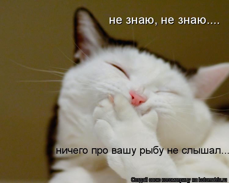 Котоматрица: не знаю, не знаю.... ничего про вашу рыбу не слышал...