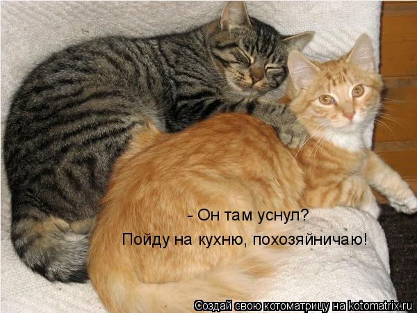 Котоматрица: - Он там уснул? Пойду на кухню, похозяйничаю!