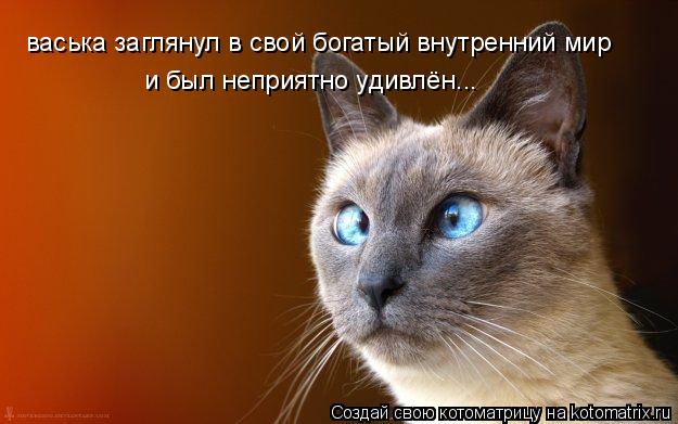 Котоматрица: васька заглянул в свой богатый внутренний мир и был неприятно удивлён...