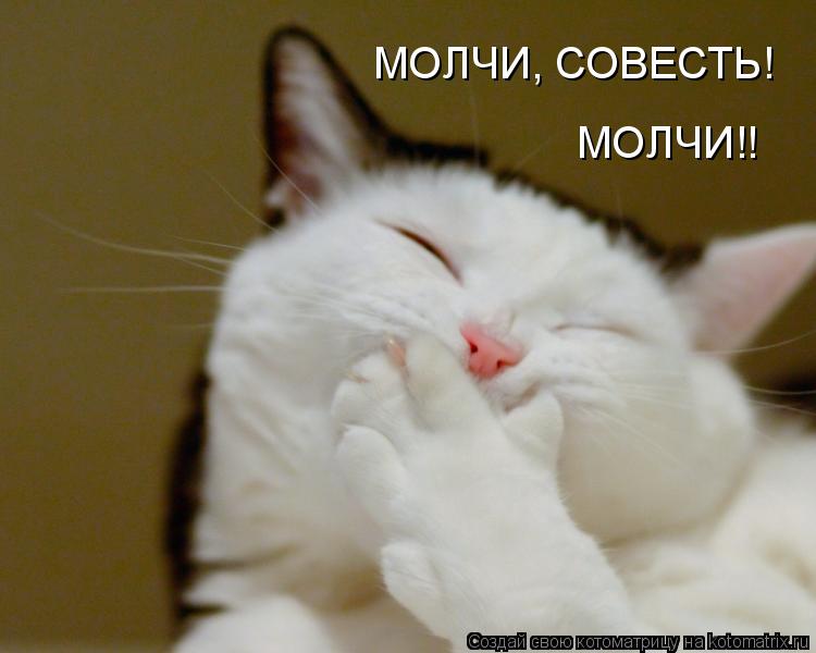 Котоматрица: МОЛЧИ, СОВЕСТЬ! МОЛЧИ!!