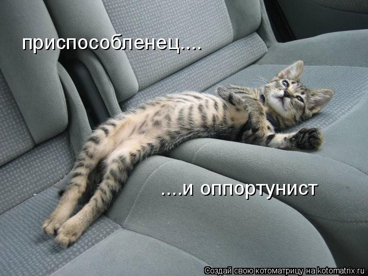 приспособленец.... ....и оппортунист... Котоматрица: приспособленец.... ....и оппортунист