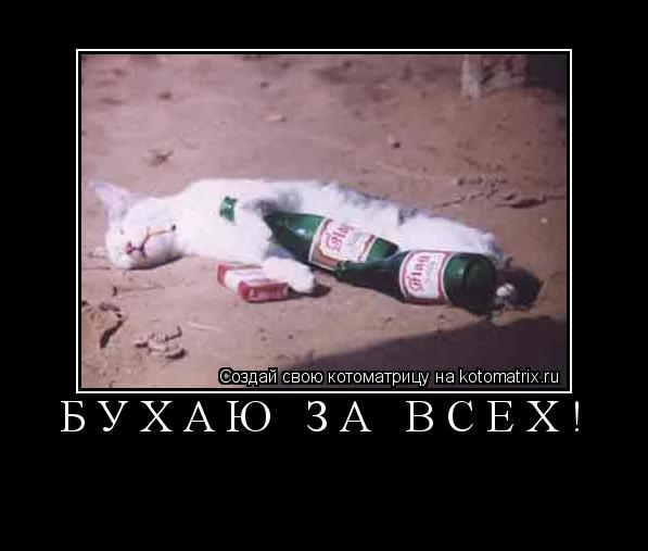 бухаю за всех! ... Котоматрица: бухаю за всех!