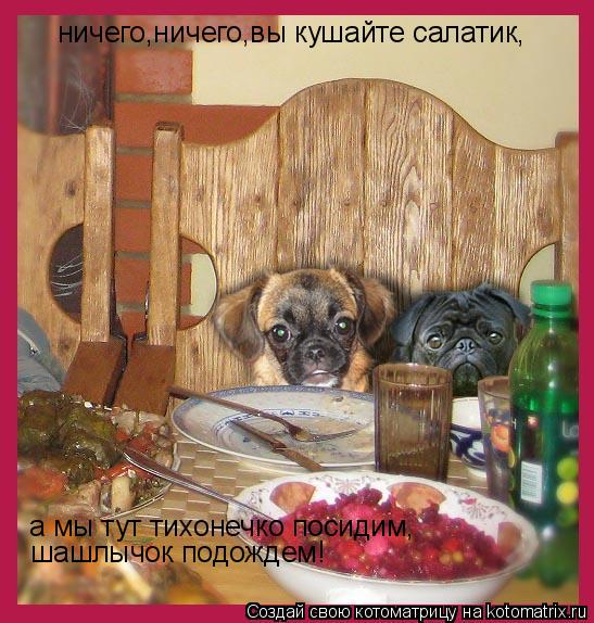Котоматрица: ничего,ничего,вы кушайте салатик, а мы тут тихонечко посидим, шашлычок подождем!