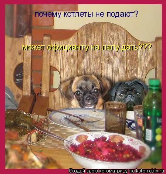 почему котлеты не подают? может официанту на лапу дать???... Котоматрица: почему котлеты не подают? может официанту на лапу дать???
