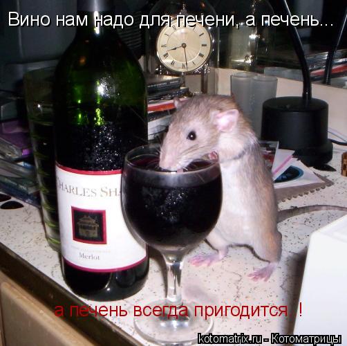 Вино нам надо для печени, а печень... а печень всегда пригодится..!... Котоматрица: Вино нам надо для печени, а печень... а печень всегда пригодится..!