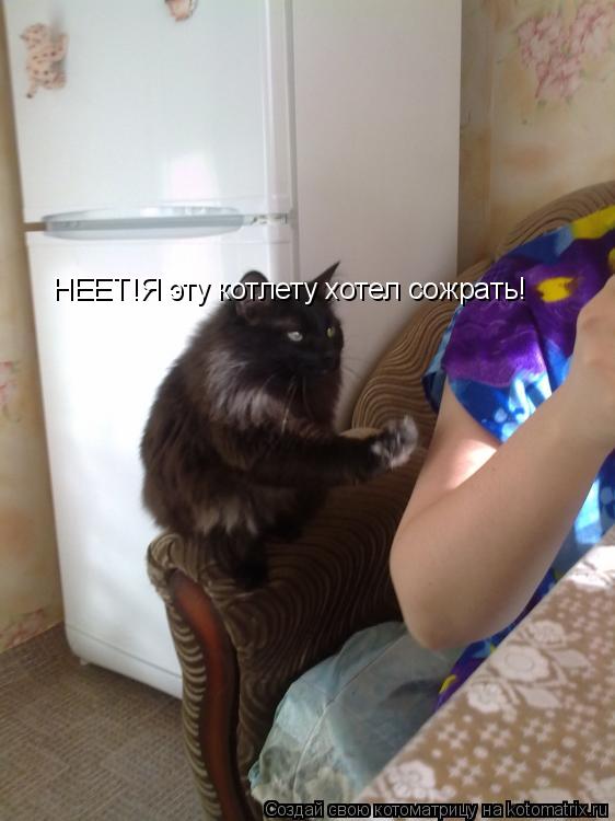 НЕЕТ!Я эту котлету хотел сожрать!... Котоматрица: НЕЕТ!Я эту котлету хотел сожрать!