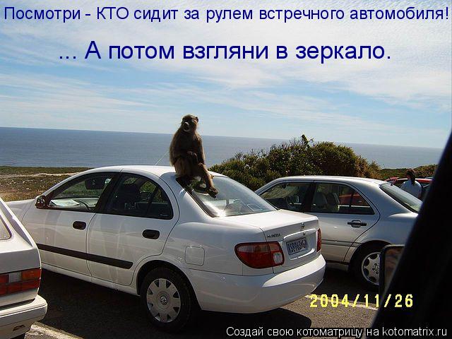 Котоматрица: Посмотри - КТО сидит за рулем встречного автомобиля! ... А потом взгляни в зеркало.
