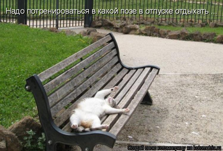 Надо потренироваться в какой позе в отпуске отдыхать ...... Котоматрица: Надо потренироваться в какой позе в отпуске отдыхать ...