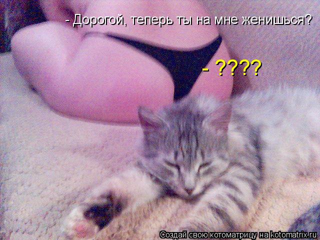 Котоматрица: - Дорогой, теперь ты на мне женишься? - ????