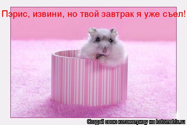 Пэрис, извини, но твой завтрак я уже съел!... Котоматрица: Пэрис, извини, но твой завтрак я уже съел!