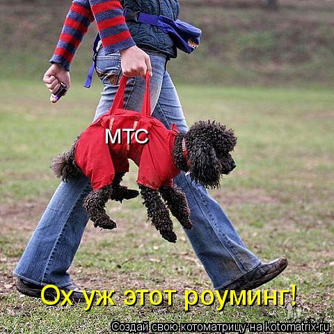 Котоматрица: МТС Ох уж этот роуминг!