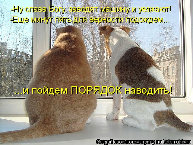 Котоматрица: -Ну слава Богу, заводят машину и уезжают! ...и пойдем ПОРЯДОК наводить! -Еще минут пять для верности подождем...