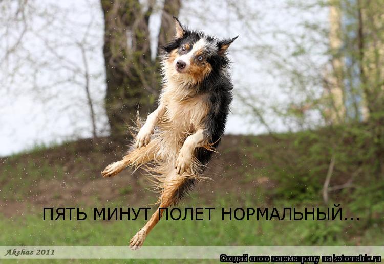 ПЯТЬ МИНУТ ПОЛЕТ НОРМАЛЬНЫЙ...... Котоматрица: ПЯТЬ МИНУТ ПОЛЕТ НОРМАЛЬНЫЙ...
