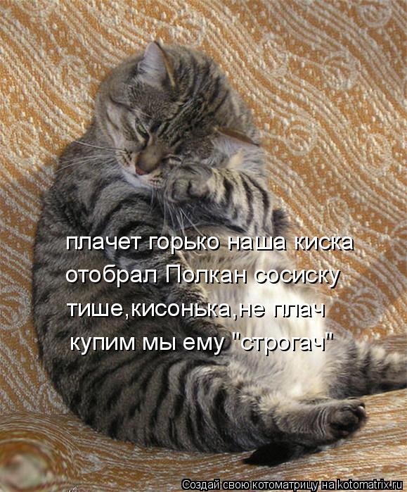 плачет горько наша киска отобрал Полкан сосиску тише,кисонька,не плач купим мы ему "строгач"... Котоматрица: плачет горько наша киска отобрал Полкан сосиску тише,кисонька,не плач купим мы ему "строгач"