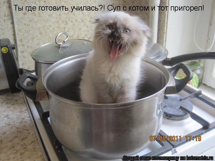 Котоматрица: Ты где готовить училась?! Суп с котом и тот пригорел!
