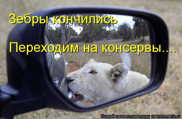 Котоматрица: Зебры кончились Переходим на консервы....
