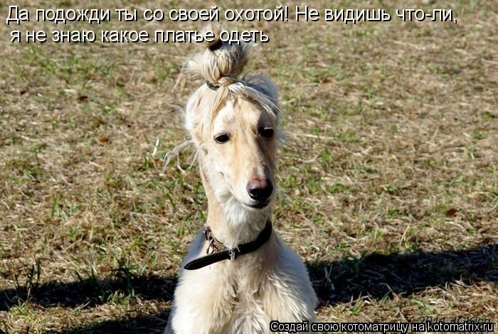 Да подожди ты со своей охотой! Не видишь что-ли, я не знаю какое платье одеть... Котоматрица: Да подожди ты со своей охотой! Не видишь что-ли, я не знаю какое платье одеть