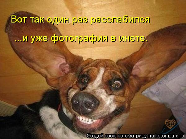 Вот так один раз расслабился ...и уже фотография в инете.... Котоматрица: Вот так один раз расслабился ...и уже фотография в инете.
