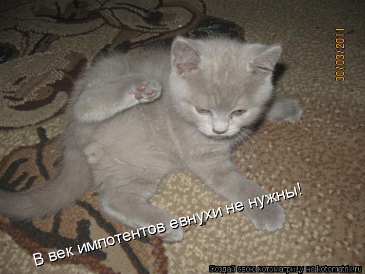 Котоматрица: В век импотентов евнухи не нужны!