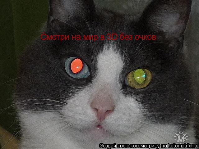 Смотри на мир в 3D без очков... Котоматрица: Смотри на мир в 3D без очков