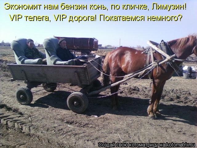 Экономит нам бензин конь, по кличке, Лимузин! VIP телега, VIP дорога! Покатаемся немного?... Котоматрица: Экономит нам бензин конь, по кличке, Лимузин! VIP телега, VIP дорога! Покатаемся немного?
