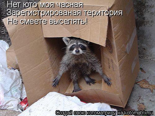 Котоматрица: Нет юто моя часная Зарегистрированая територия Не смеете выселять!