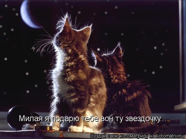 Котоматрица: Милая я подарю тебе вон ту звездочку...