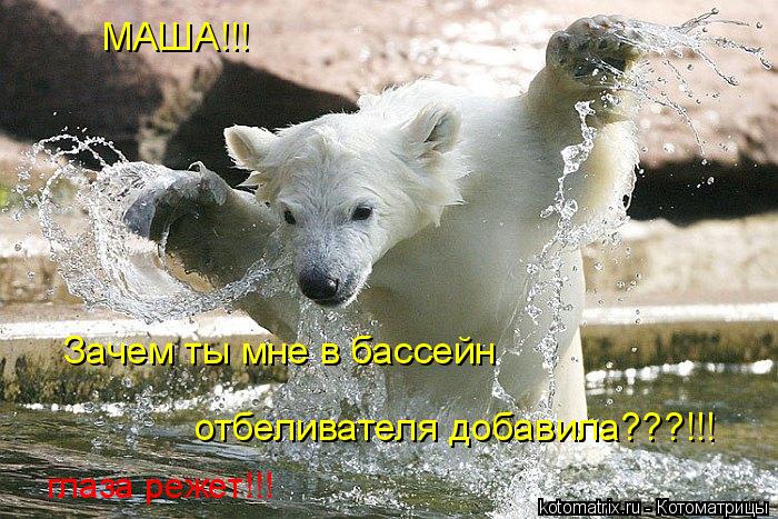 МАША!!! Зачем ты мне в бассейн отбеливателя добавила???!!! глаза режет!!!... Котоматрица: МАША!!! Зачем ты мне в бассейн отбеливателя добавила???!!! глаза режет!!!